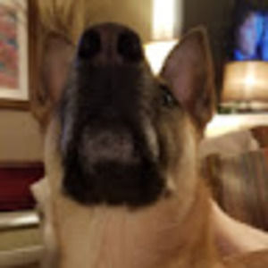 Meet your Posher, Mae